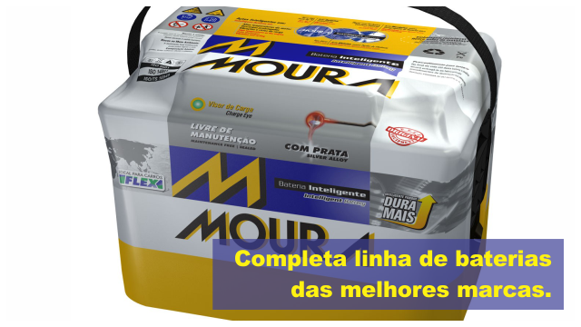 auto_eletrica_cambui_campinas_03